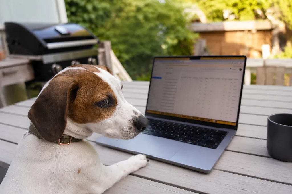 Why the best software is not built by developers alone